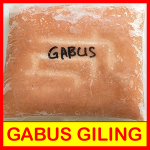 jual gabus giling di Bandung, gabus giling Bandung murah, beli gabus giling Bandung, gabus giling segar Bandung, harga gabus giling Bandung, supplier gabus giling Bandung, distributor gabus giling Bandung, grosir gabus giling Bandung, gabus giling untuk pempek Bandung, gabus giling untuk otak-otak Bandung, jual gabus giling kemasan 1 kg Bandung, gabus giling fresh Bandung, gabus giling kualitas terbaik Bandung, jual ikan gabus giling di Bandung