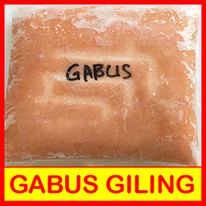 jual gabus giling di Bandung, gabus giling Bandung murah, beli gabus giling Bandung, gabus giling segar Bandung, harga gabus giling Bandung, supplier gabus giling Bandung, distributor gabus giling Bandung, grosir gabus giling Bandung, gabus giling untuk pempek Bandung, gabus giling untuk otak-otak Bandung, jual gabus giling kemasan 1 kg Bandung, gabus giling fresh Bandung, gabus giling kualitas terbaik Bandung, jual ikan gabus giling di Bandung